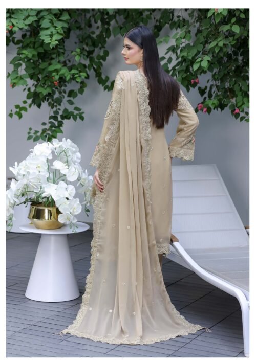 81 RIWAYAT FANCY CHIFFON -D5