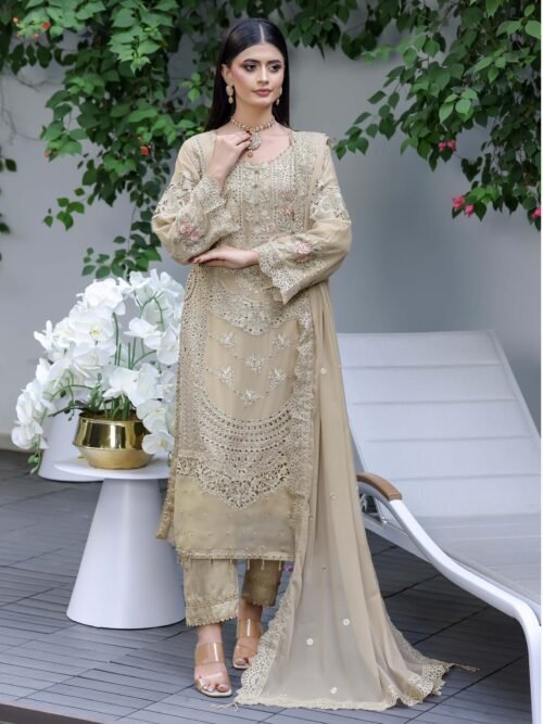 RIWAYAT FANCY CHIFFON -D5