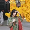 Bandhani-The Tales of Jaipur by ALZOHAIB