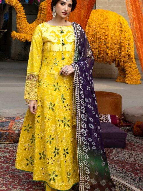 Bandhani - The Tales of Jaipur by ALZOHAIB